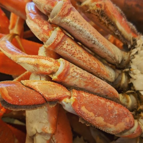Dungeness Crab Cluster