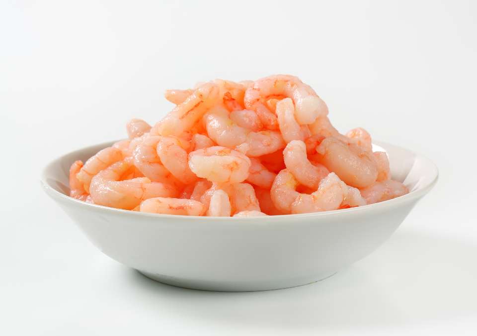 Wild caught Greenlandic shrimp in a bowl