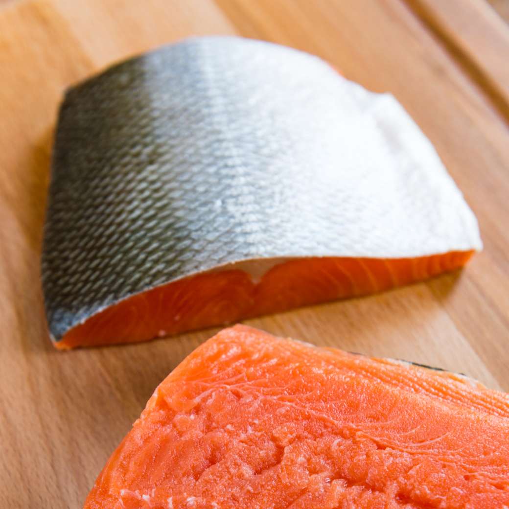 coho salmon