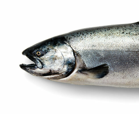 Get to Know... Wild Alaskan King Salmon!